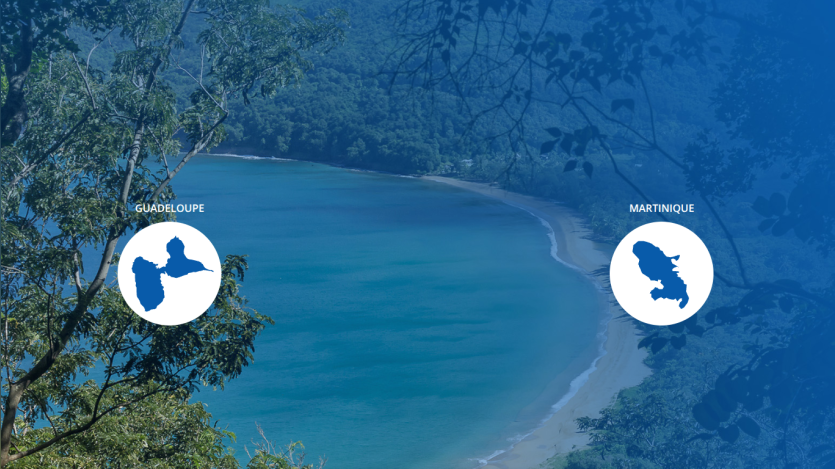 Scenic beach view with two icons labeled 'Coral Cove' and 'Marty's Beach'.