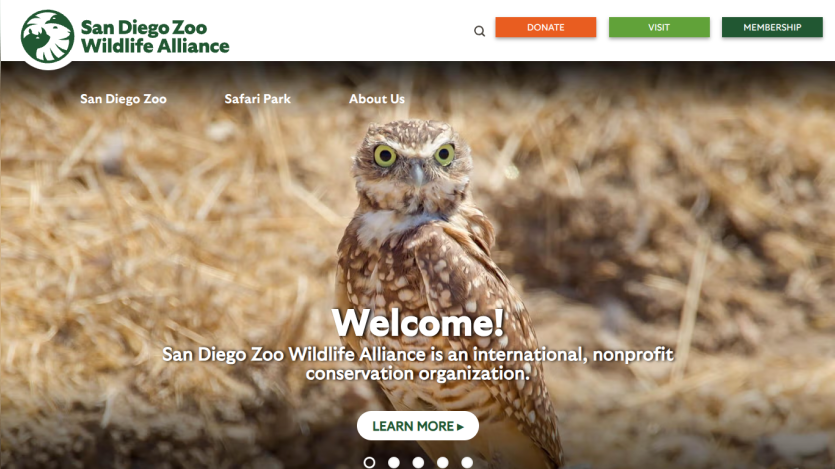 Homepage of San Diego Zoo Wildlife Alliance featuring an owl and welcome message.