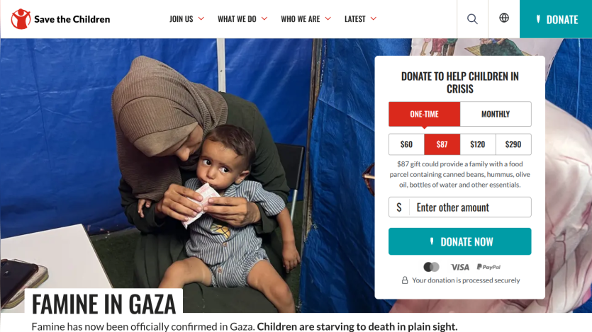 Donation page for famine relief in Gaza, featuring a mother and child with donation options.