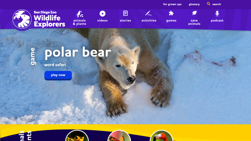 Wildlife Explorers homepage featuring a polar bear with a 'play now' button for games.