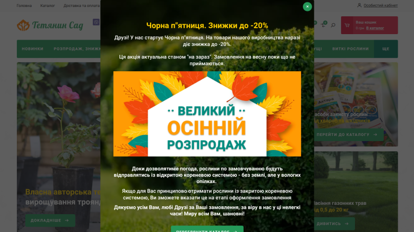 tetjanynsad.com