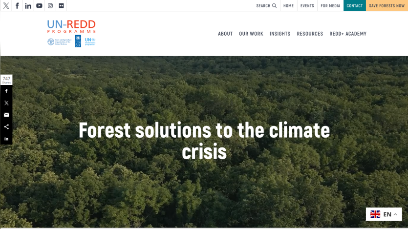 UN-REDD Programme homepage with forest background and headline 'Forest solutions to the climate crisis'