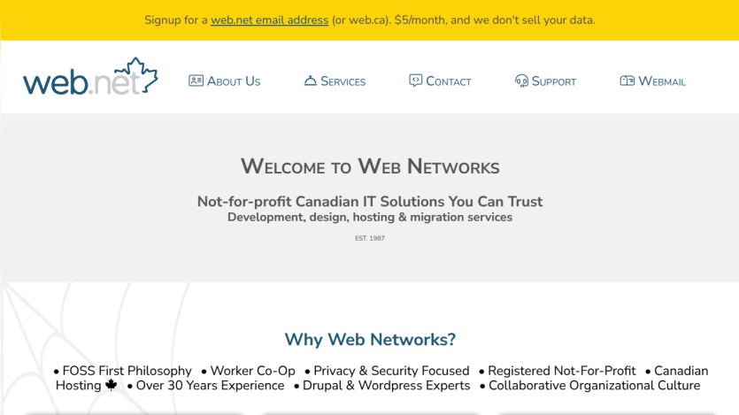 Homepage of Web Networks showing company tagline, navigation menu, and reasons to choose their IT services
