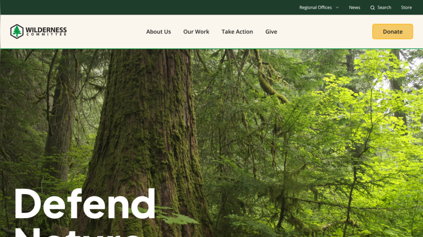 Wilderness Committee website with navigation and a call to defend forests, featuring a large forest background image and a donate button.