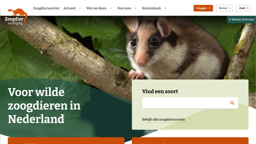 Website for wild mammals in the Netherlands with search function and navigation menu