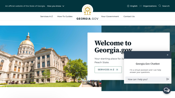 georgia.gov
