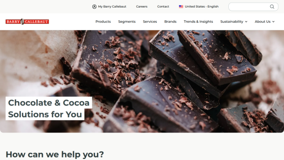 Chocolate and cocoa solutions highlighted with a hero image of chocolate pieces.
