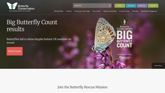 Homepage of Butterfly Conservation featuring Big Butterfly Count results and a butterfly image.
