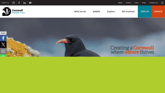 Cornwall Wildlife Trust homepage with navigation and hero image of a bird and text about creating a thriving nature in Cornwall