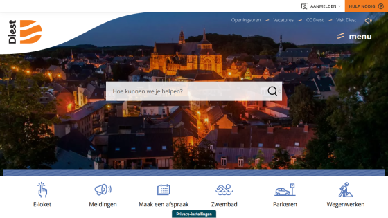 City of Diest website with night cityscape background, search bar, and navigation icons for services
