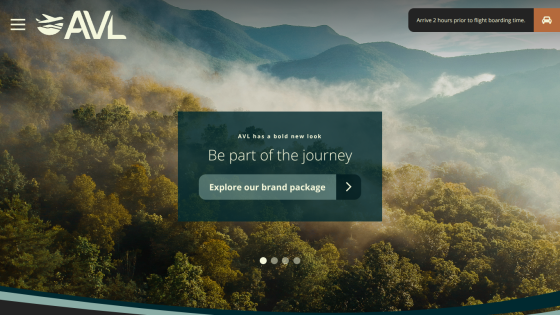 AVL website hero with mountainous forest background and call to explore brand package