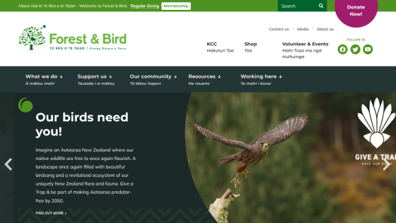 Forest & Bird homepage with call to action to support native wildlife in New Zealand and image of a bird in flight