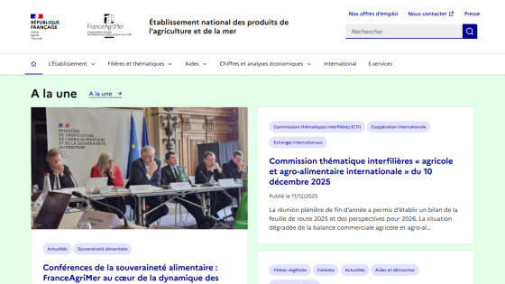 Homepage with a blue header, navigation menu, and a hero section featuring a large image and headline text