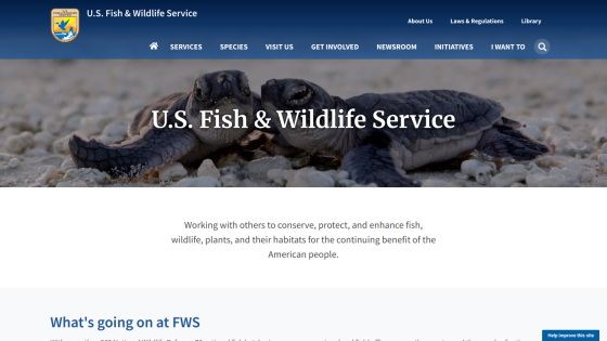 U.S. Fish & Wildlife Service homepage featuring a turtle image and mission statement.