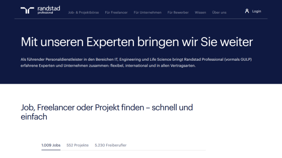 Website header with a tagline about expert services and a job search prompt.