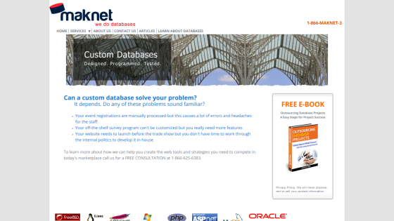 Maknet website offering custom database solutions with consultation contact and free e-book offer