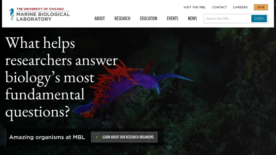 Homepage of the Marine Biological Laboratory featuring a question about biology research.