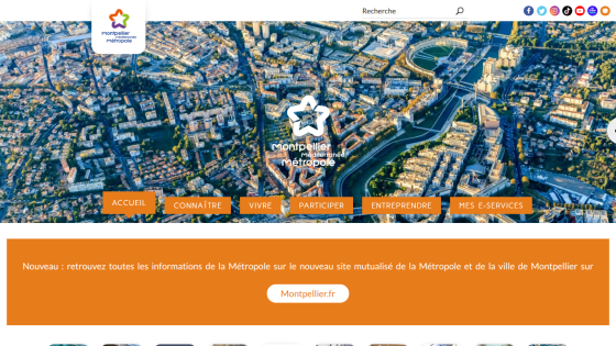 Website header with navigation links and a hero image of Montpellier cityscape.