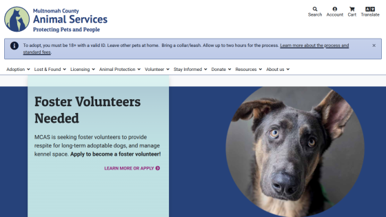 Multnomah County Animal Services page seeking foster volunteers with dog photo and navigation menu.