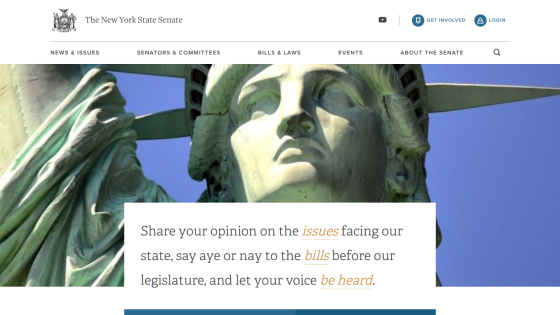 New York State Senate website inviting users to share opinions on state issues and bills.