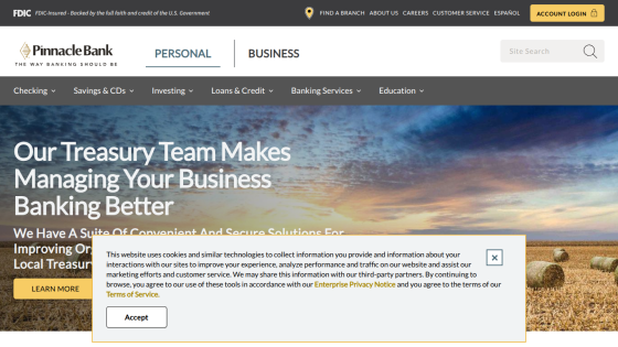 pinnbank.com