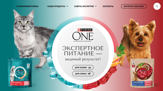 Purina ONE expert pet nutrition for cats and dogs with product images and navigation menu