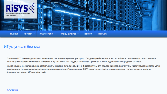 IT services for business by RiSYS, offering IT outsourcing and hosting for small and medium businesses with reliable support