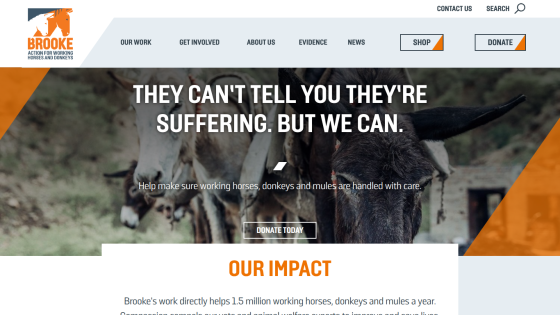 Homepage of Brooke charity with navigation, headline about helping working horses, donkeys, and mules, and donate button