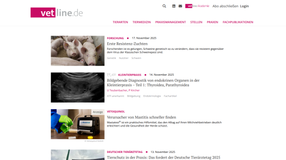 Veterinary news site vetline.de with articles on pig resistance breeding, endocrine diagnostics, and cat bladder health product