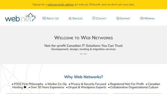 Homepage of Web Networks showing company tagline, navigation menu, and reasons to choose their IT services