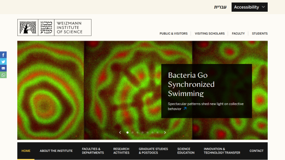 Homepage of the Weizmann Institute of Science featuring a study on synchronized swimming in bacteria.