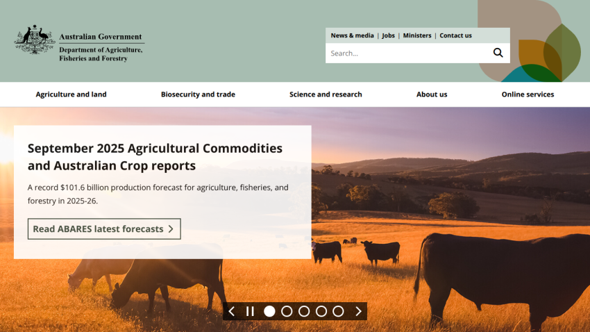 September 2023 Agricultural Commodities and Australian Crop reports with cows in the background.