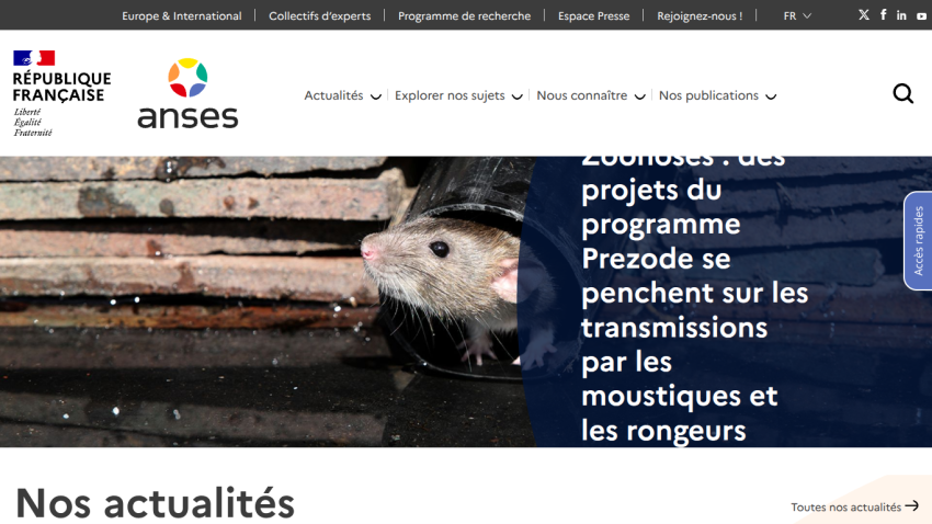 Homepage of ANSES featuring news about mosquito and rodent transmission projects.