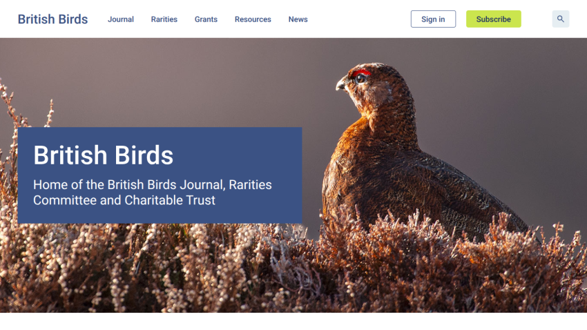 British Birds homepage with navigation and a bird perched among shrubs, promoting the British Birds Journal and related trusts