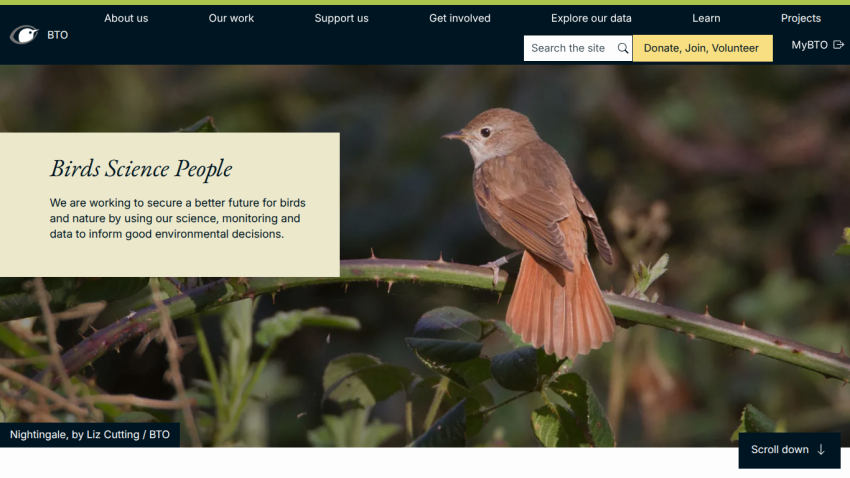 Homepage featuring a bird and a call to action for donations and volunteering.