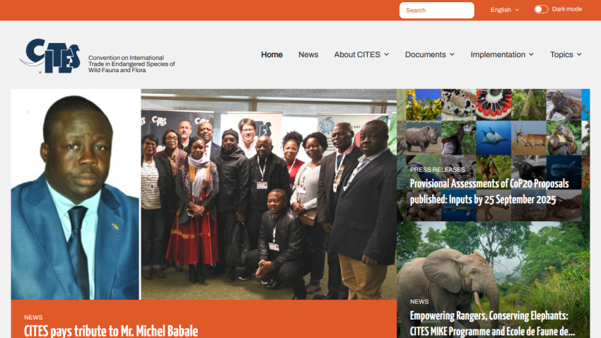 Homepage of CITES featuring a prominent image and news updates.
