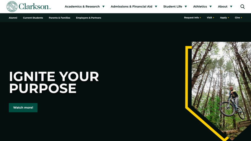 Hero section featuring 'Ignite Your Purpose' with a call to action button.