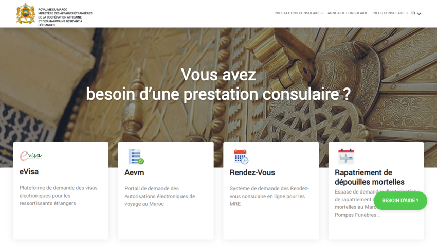 Homepage with options for consular services and a prominent question about service needs.