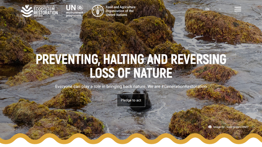 Website promoting nature conservation with a focus on reversing loss of nature.