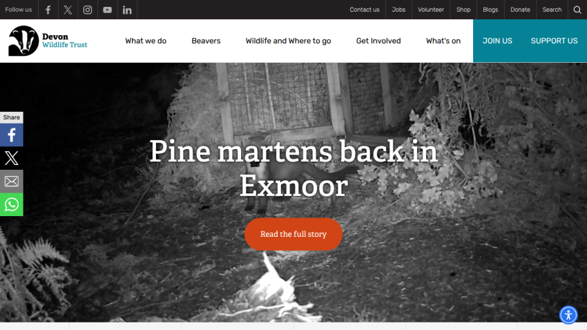Devon Wildlife Trust homepage with navigation and hero story about pine martens returning to Exmoor