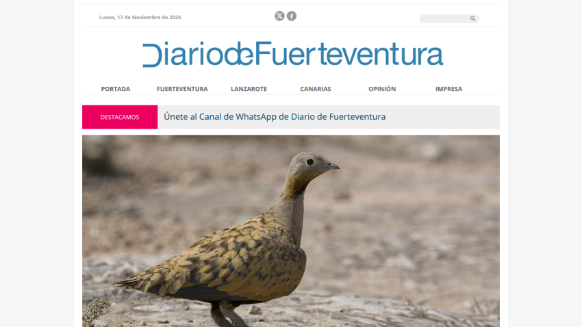 News website Diario de Fuerteventura with navigation and a bird photo in the hero section