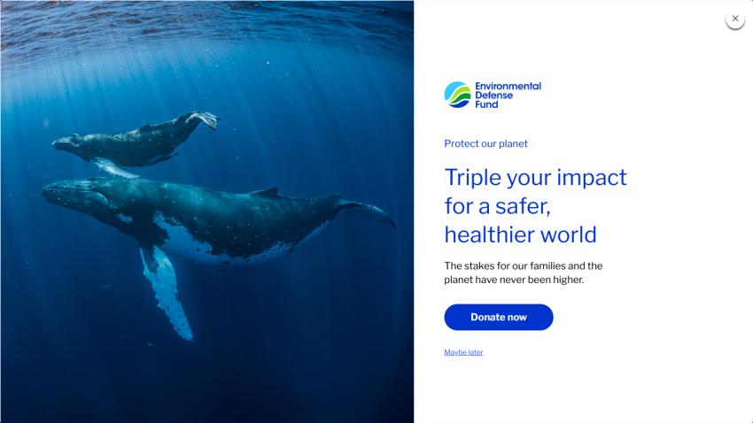 Homepage promoting environmental impact with whales swimming and a call to action button.