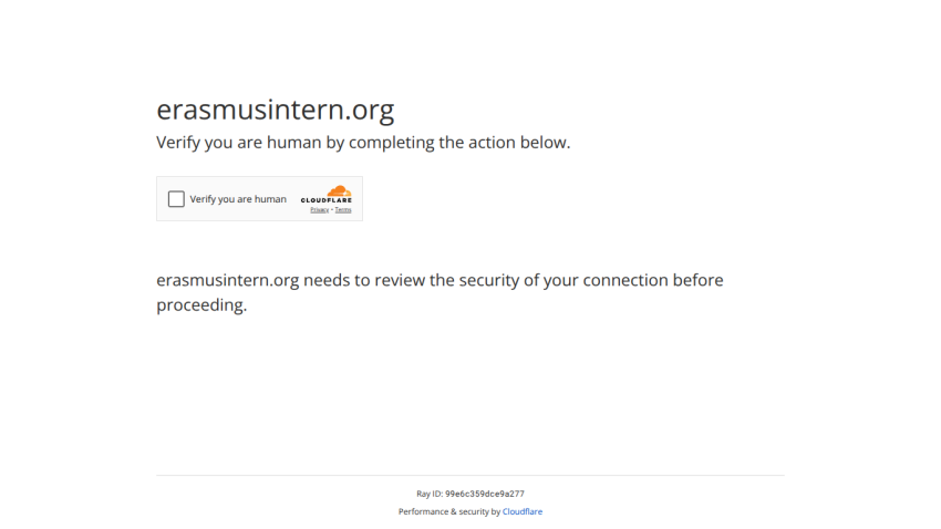 erasmusintern.org