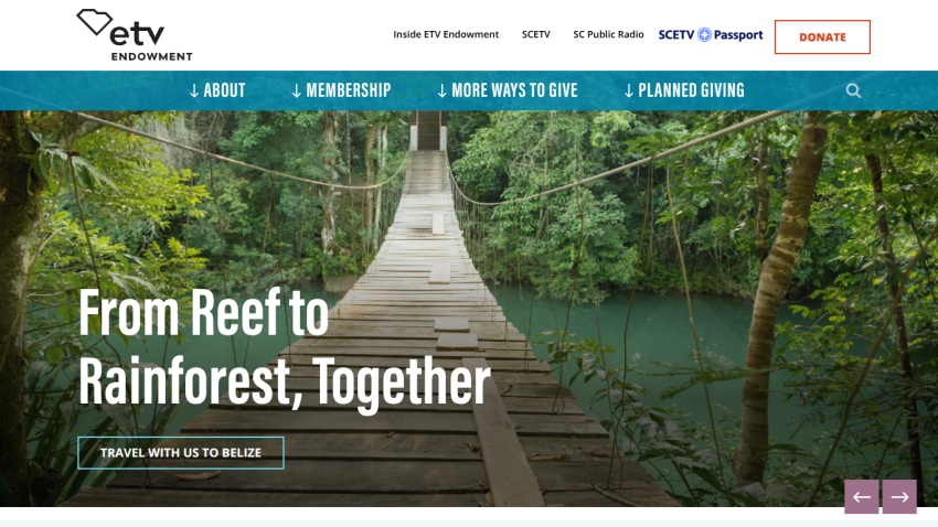 Homepage with top navigation bar, large hero image featuring a smiling woman, and headline 'Your Trusted Partner in Health Care'.