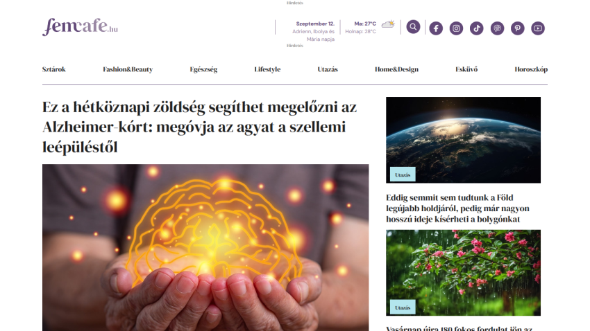 Article about the benefits of green vegetables for Alzheimer's, featuring a glowing brain illustration.