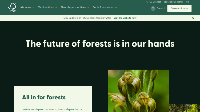 Main message about the future of forests with a call to action for forest conservation.