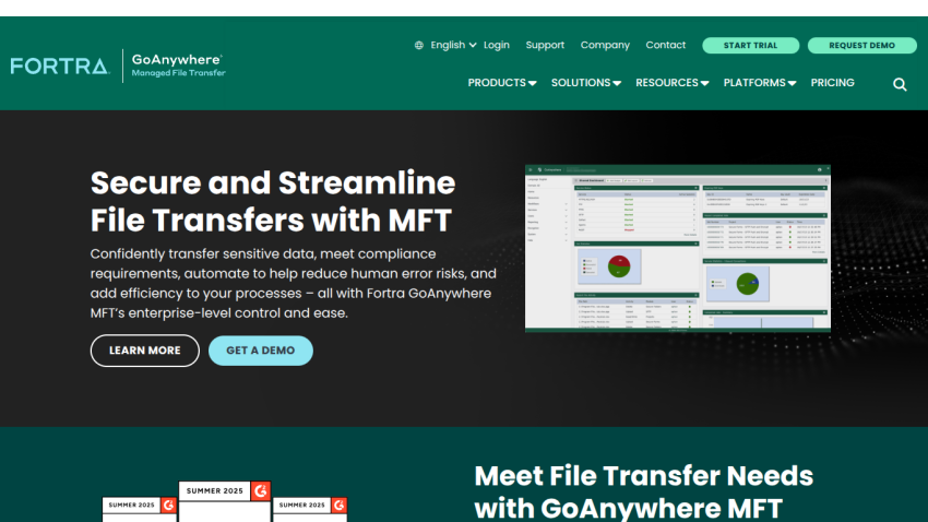 Homepage promoting secure file transfers with GoAnywhere MFT, featuring graphs and key benefits.