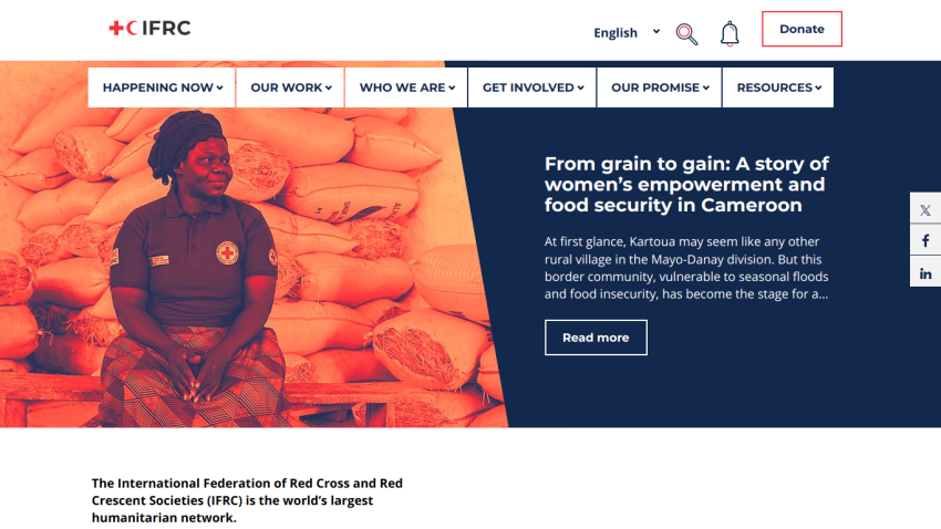 A story of women's empowerment and food security in Cameroon, featuring a woman among bags of food.