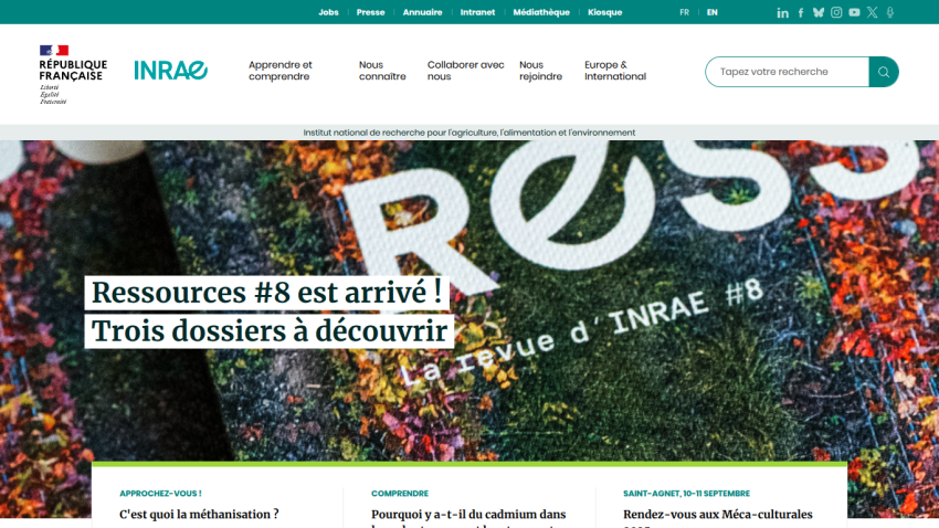 Homepage featuring 'Ressources #8 est arrivé!' with colorful background and navigation menu.