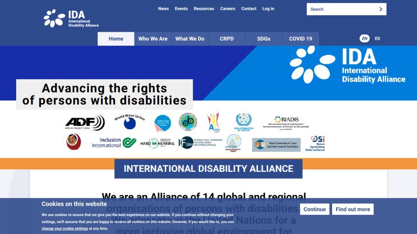 internationaldisabilityalliance.org